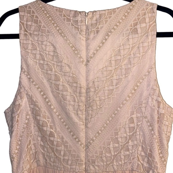 GIANNI BINI Lorena Lace Embroidered Sleeveless Chiffon Dress Gown in Petal Pink - Picture 9 of 16